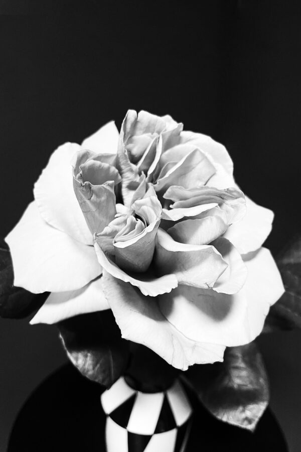 Rose Candle - Image 2
